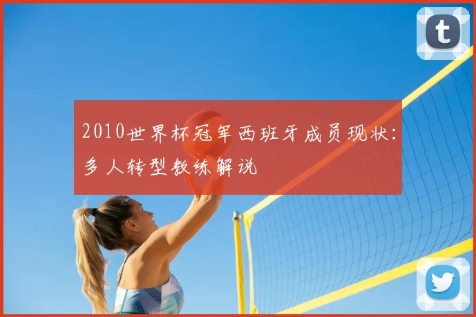 2010世界杯冠军西班牙成员现状:多人转型教练解说