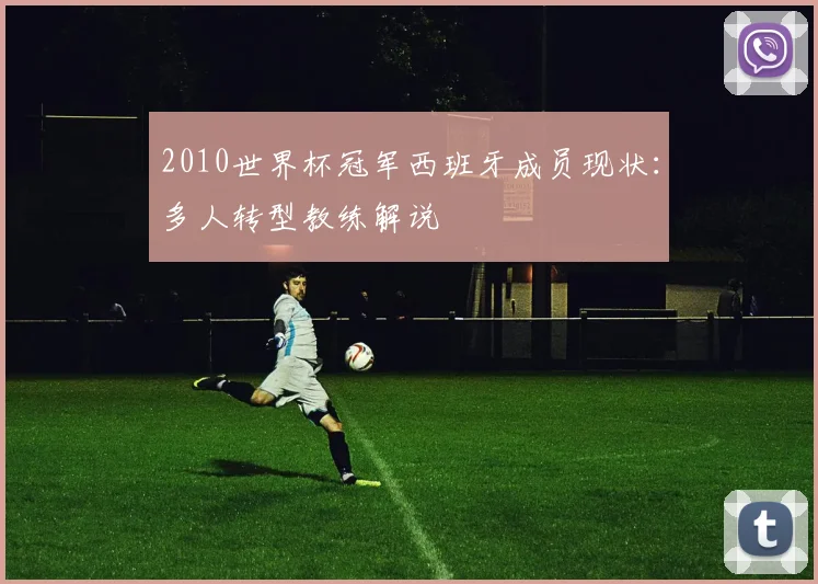 2010世界杯冠军西班牙成员现状:多人转型教练解说
