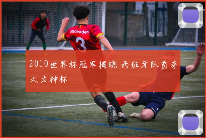 2010世界杯冠军揭晓 西班牙队首夺大力神杯