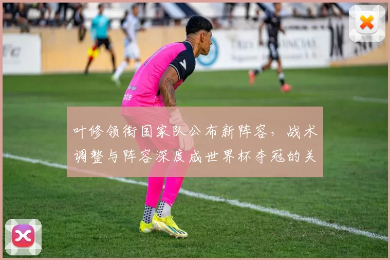 叶修领衔国家队公布新阵容，战术调整与阵容深度成世界杯夺冠的关键看点