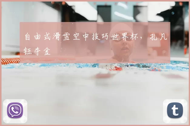 自由式滑雪空中技巧世界杯,孔凡钰夺金