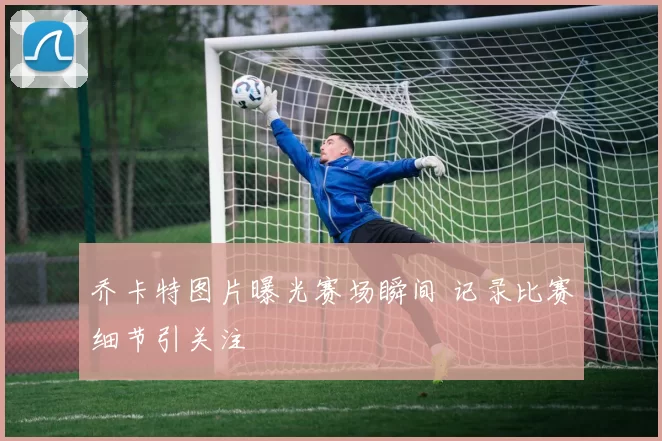 乔卡特图片曝光赛场瞬间 记录比赛细节引关注